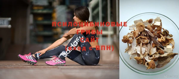 соль курить ск Алзамай