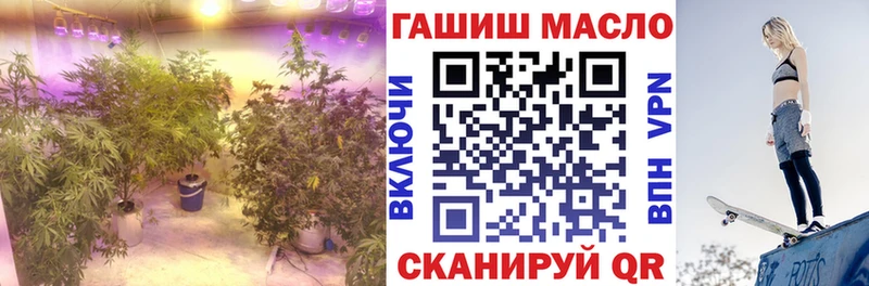 ТГК THC oil  купить закладку  гидра сайт  Вытегра 