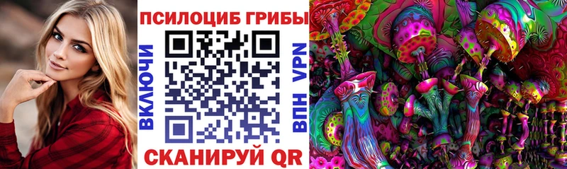 дарнет шоп  blacksprut ONION  Псилоцибиновые грибы Magic Shrooms  Вытегра 